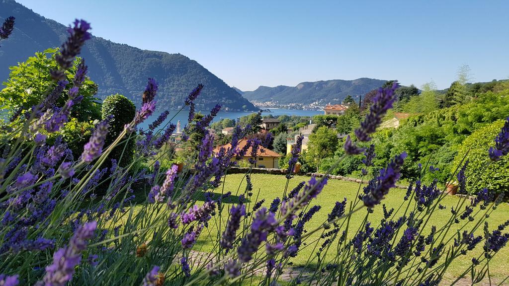 La Finestra Sul Lago Cernobbio Ngoại thất bức ảnh